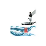 salus-talent-salus-talent-a4